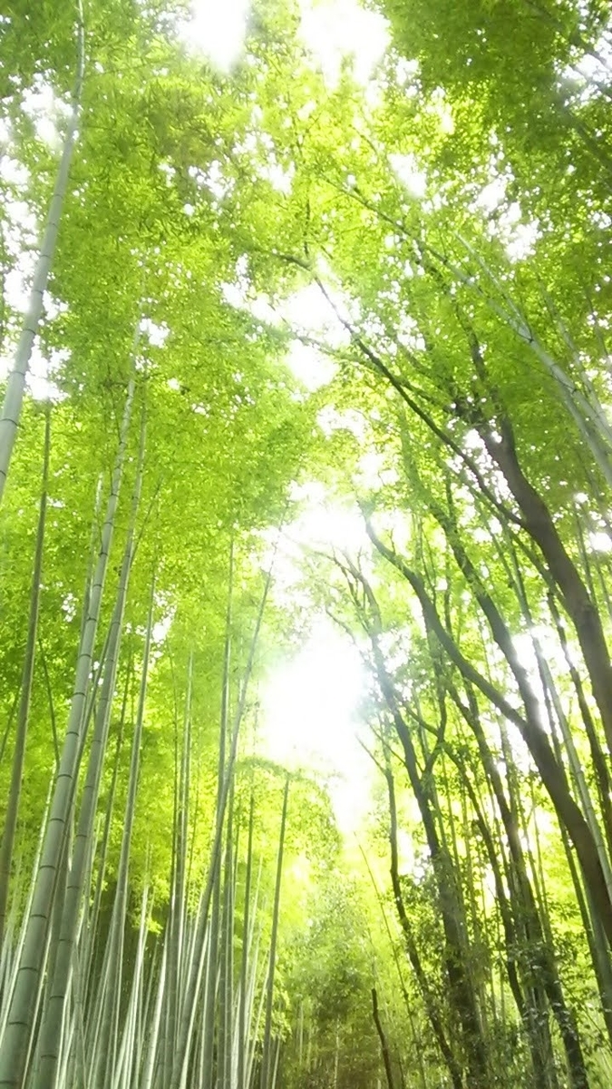 f:id:BuzinTaiko:20200724174553j:plain f:id:BuzinTaiko:20200724174553j:plain