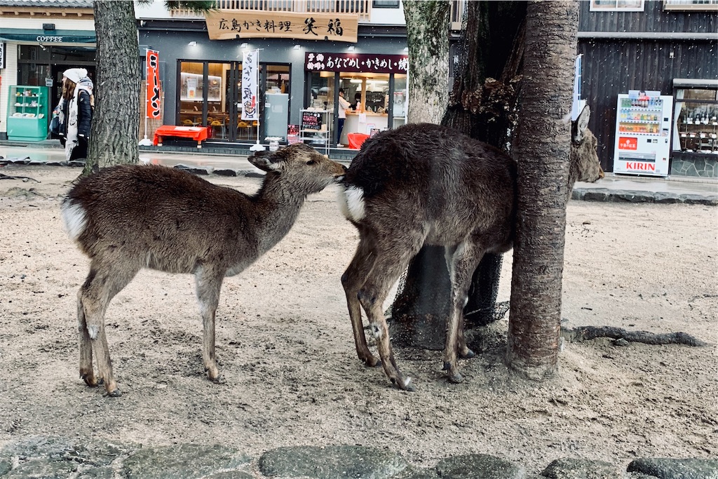 馬の話ばかりじゃなくてたまには鹿の話でも 放談リハビリテーション