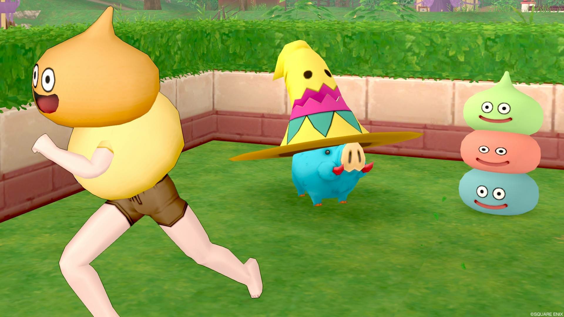 f:id:C0C0R0:20191205235446j:image