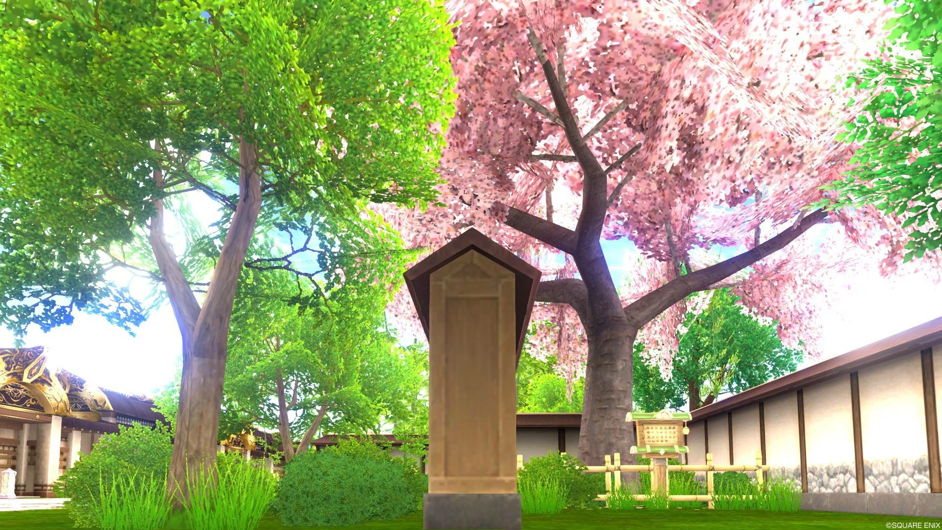 写真 植物とアストルティアの風景 cuore quest 写真 植物とアストルティアの風景 cuore quest