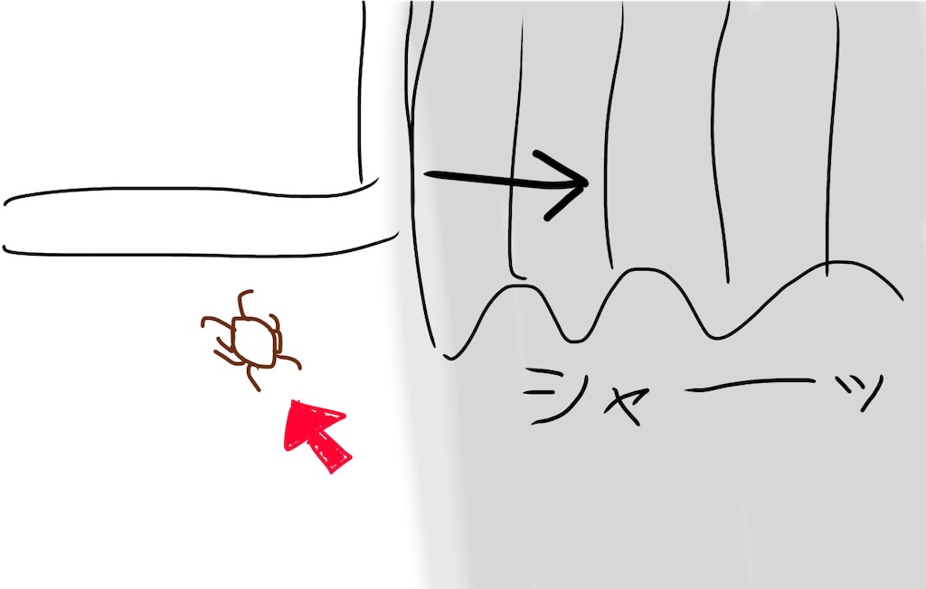 f:id:C7-4GEN:20211110122250j:image