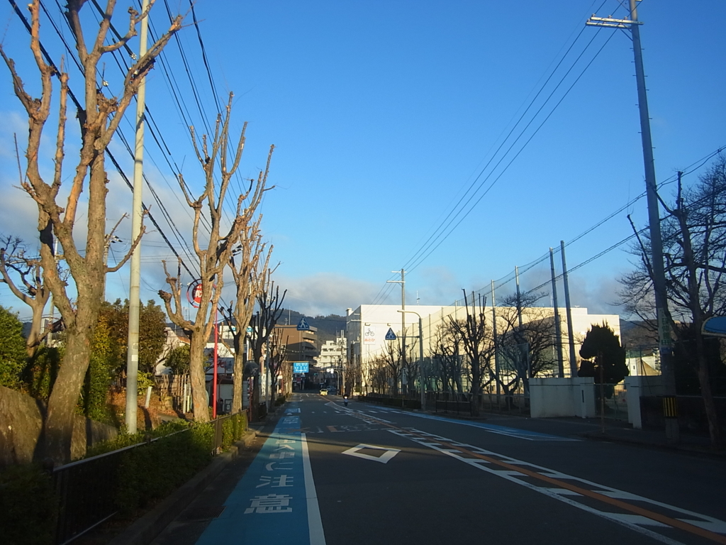 f:id:CAAD9-6:20161230210030j:plain f:id:CAAD9-6:20161230210030j:plain