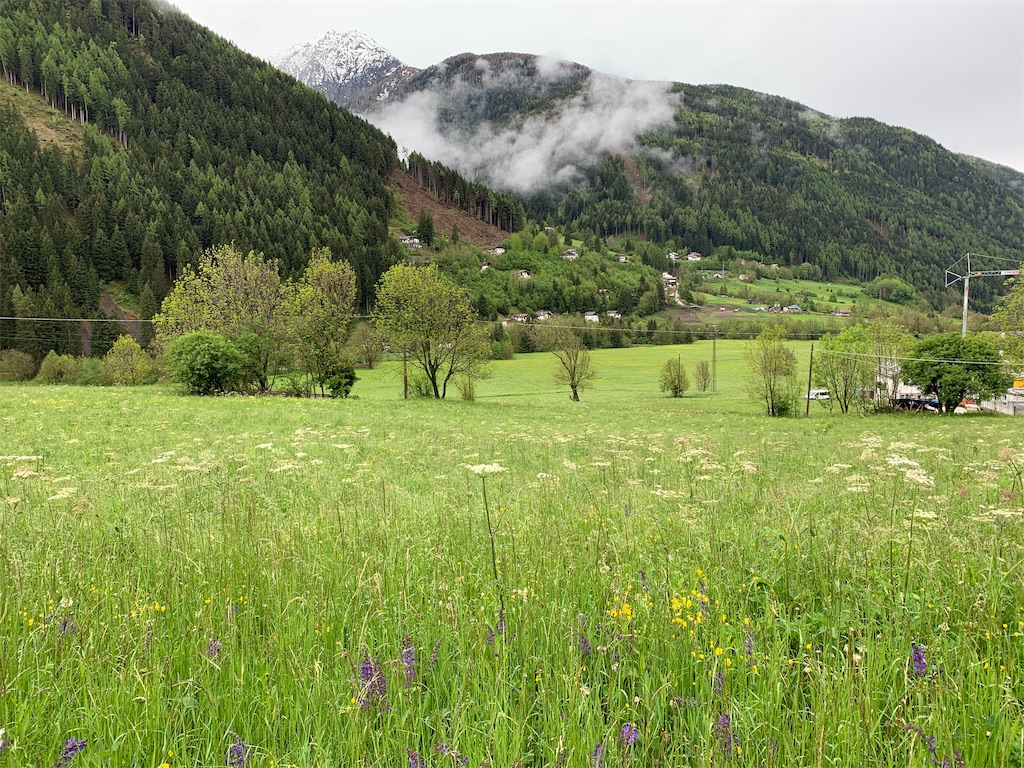f:id:CAAD9-6:20190529052929j:image f:id:CAAD9-6:20190529052929j:image