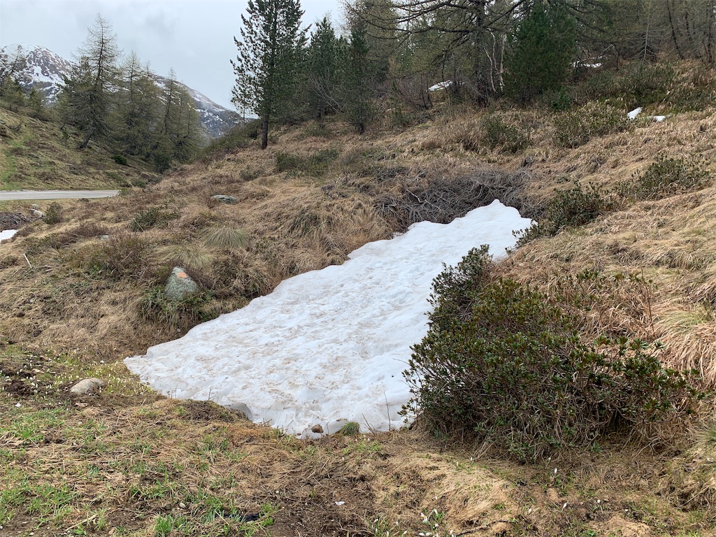 f:id:CAAD9-6:20190529052946j:image f:id:CAAD9-6:20190529052946j:image