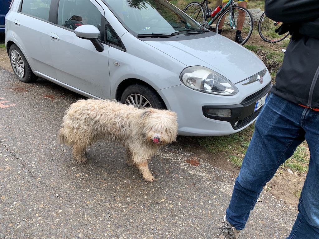 f:id:CAAD9-6:20190529053345j:image f:id:CAAD9-6:20190529053345j:image