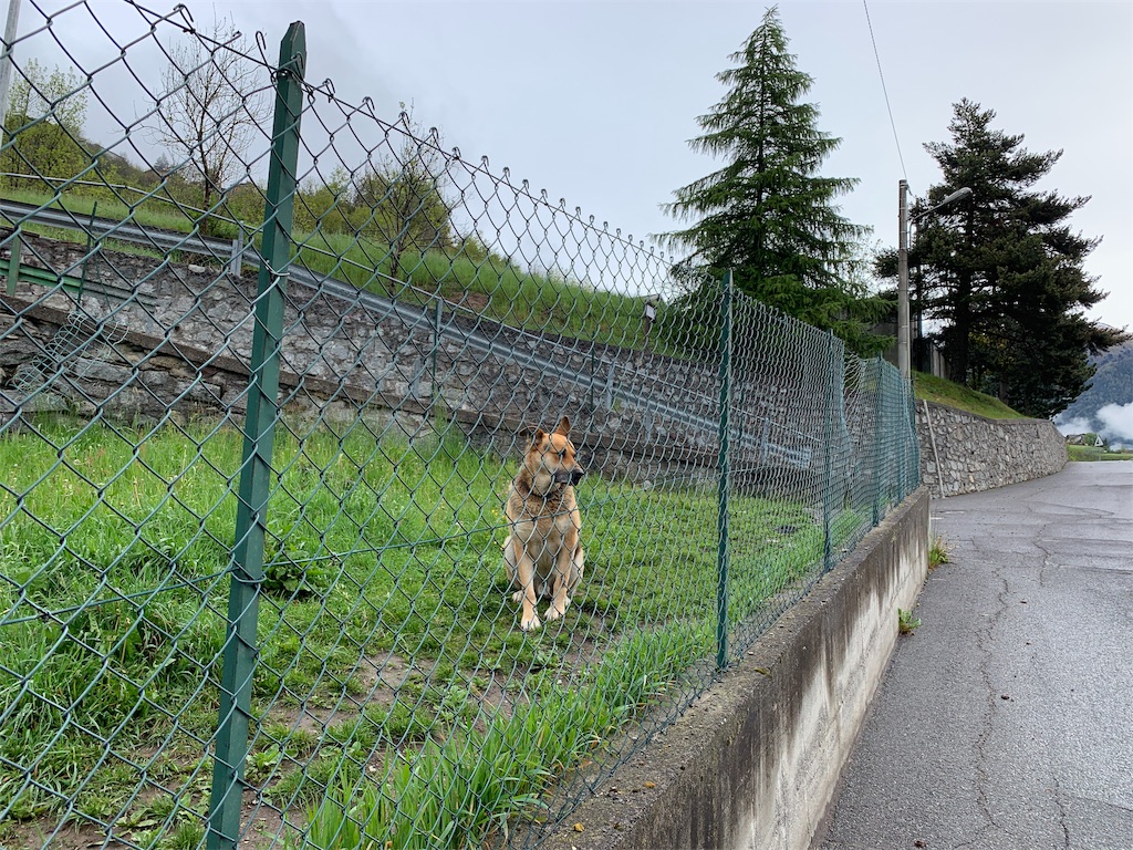 f:id:CAAD9-6:20190529053405j:image f:id:CAAD9-6:20190529053405j:image