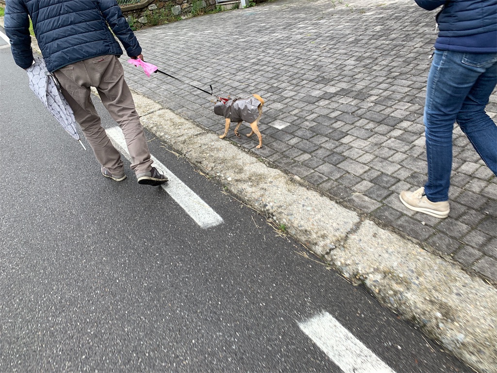 f:id:CAAD9-6:20190529053500j:image f:id:CAAD9-6:20190529053500j:image
