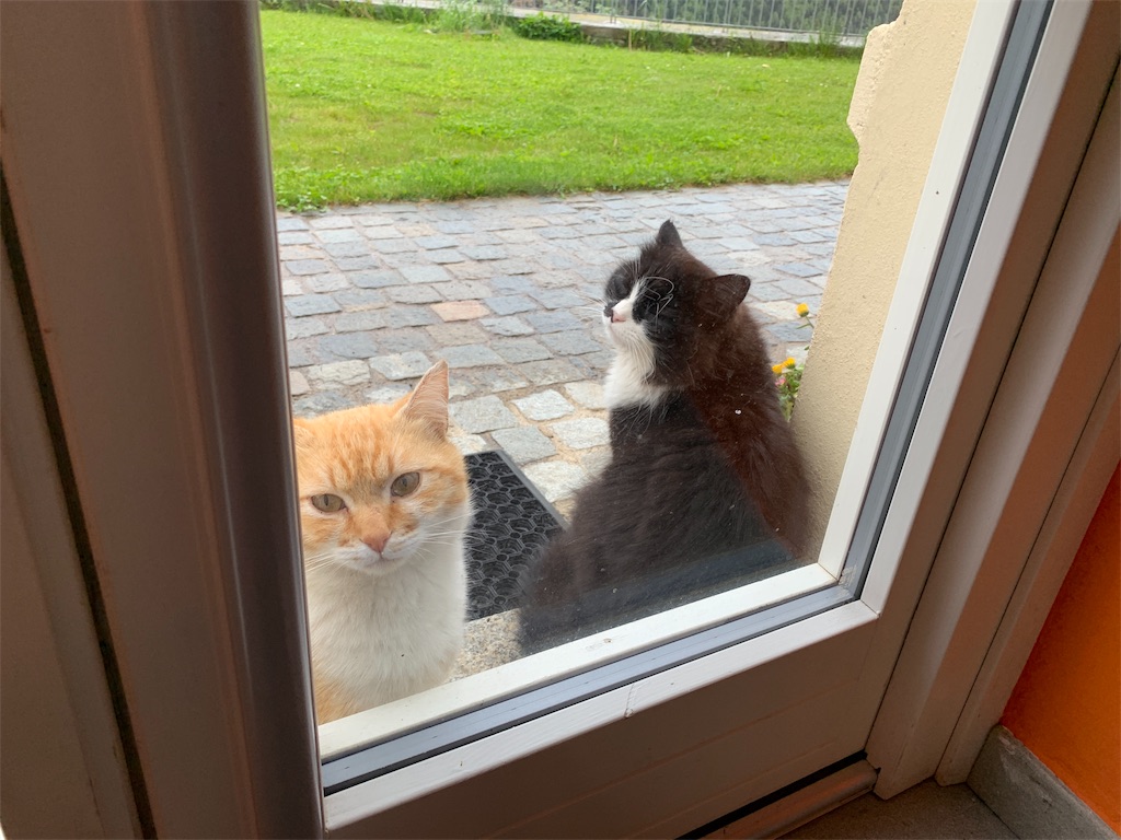 f:id:CAAD9-6:20190529053514j:image f:id:CAAD9-6:20190529053514j:image