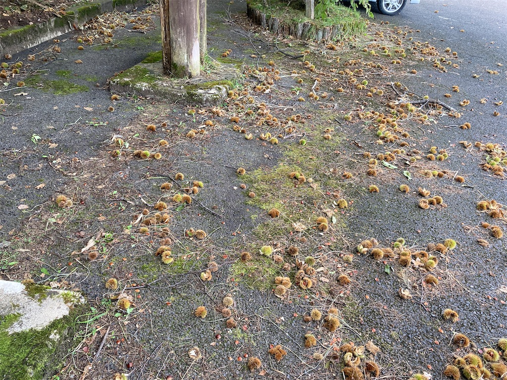 f:id:CAAD9-6:20201008211915j:image f:id:CAAD9-6:20201008211915j:image
