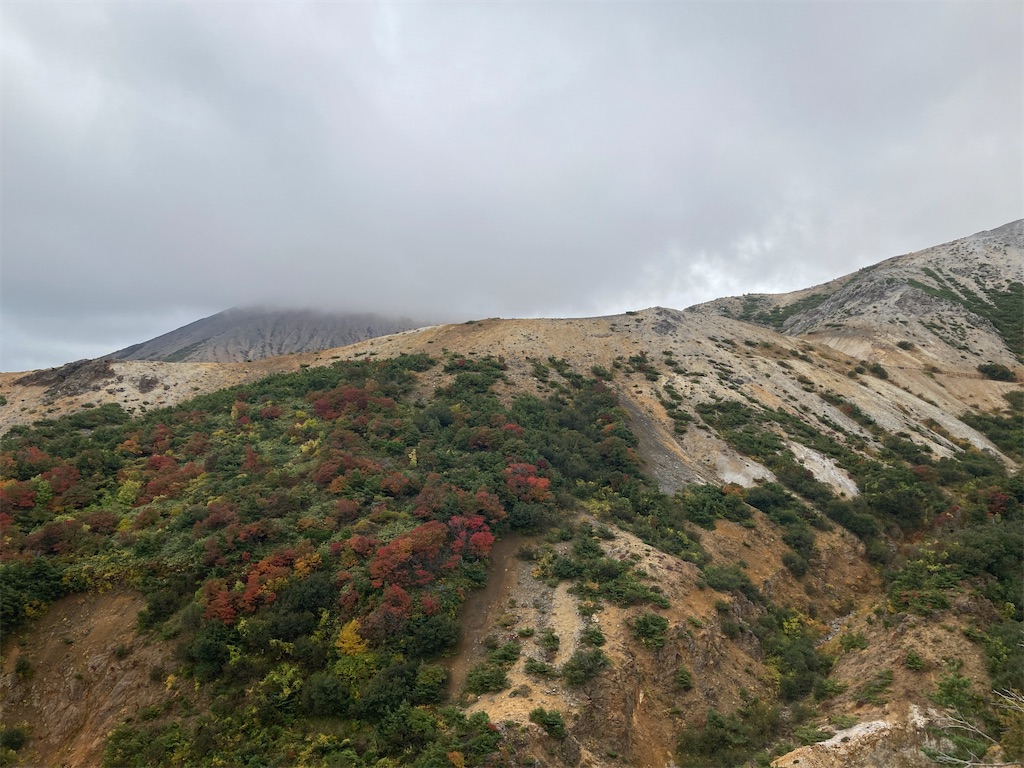 f:id:CAAD9-6:20201008212625j:image f:id:CAAD9-6:20201008212625j:image