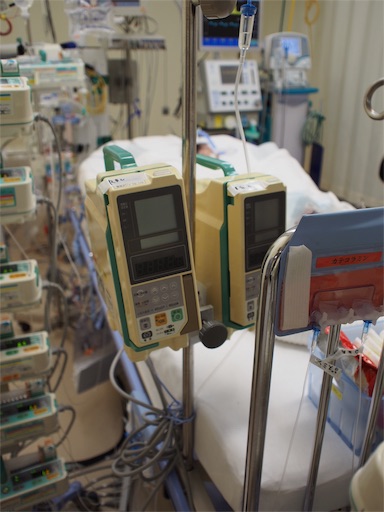 f:id:CALMIN:20160826235000j:image