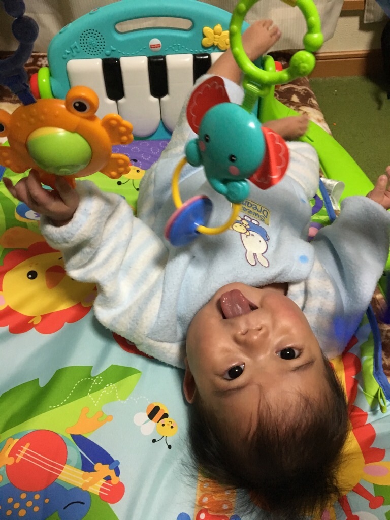 f:id:CALMIN:20161225224222j:image