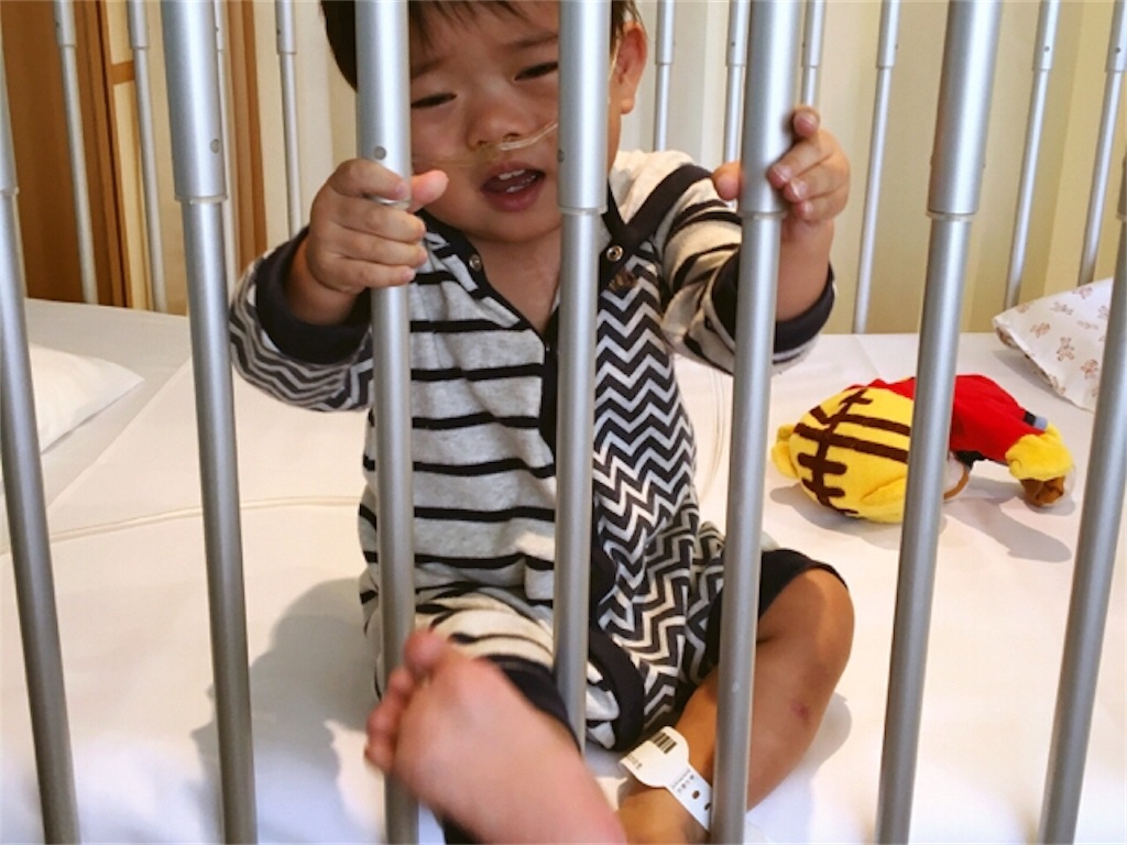 f:id:CALMIN:20171007223220j:plain