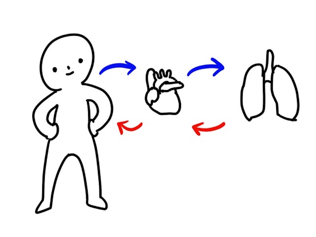 f:id:CALMIN:20171224102422j:plain:w400