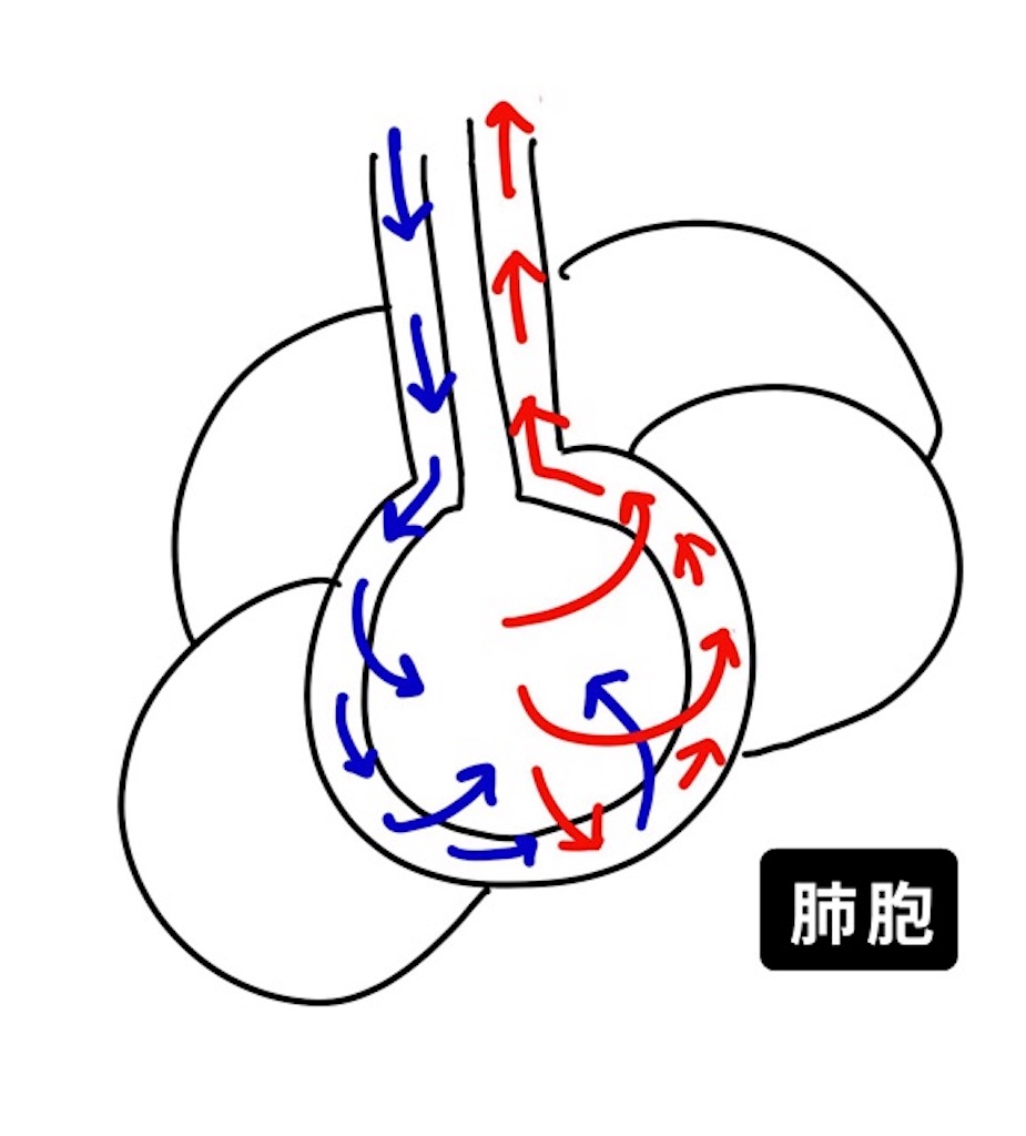 f:id:CALMIN:20180318154402j:plain