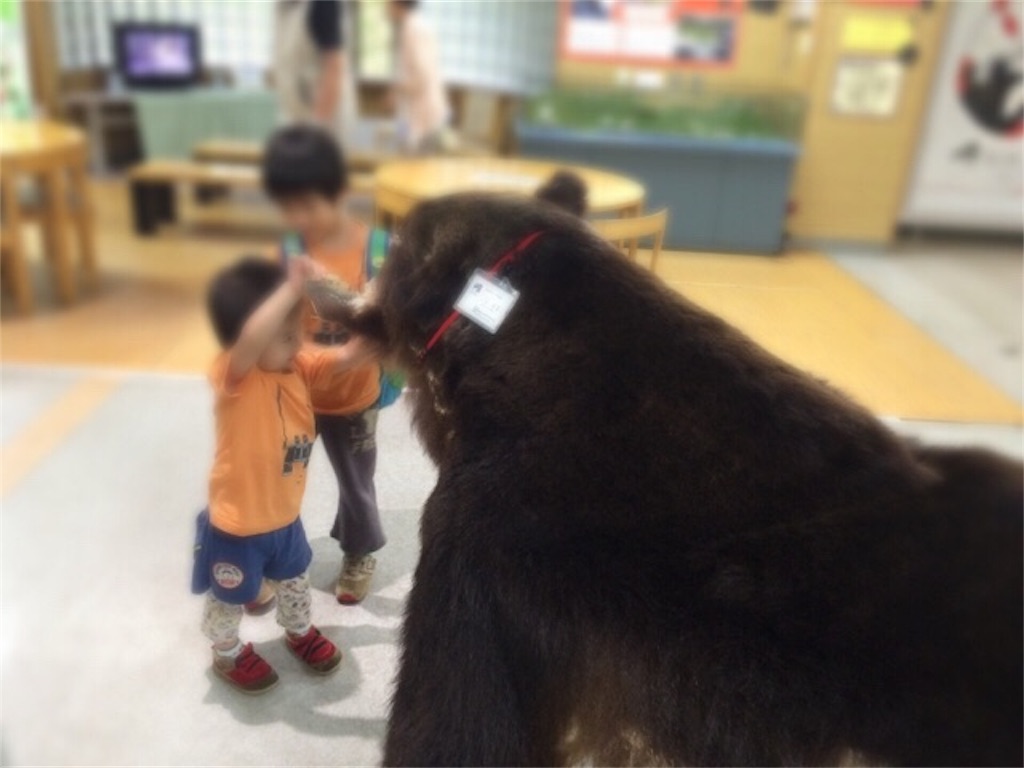 f:id:CALMIN:20180803202936j:plain