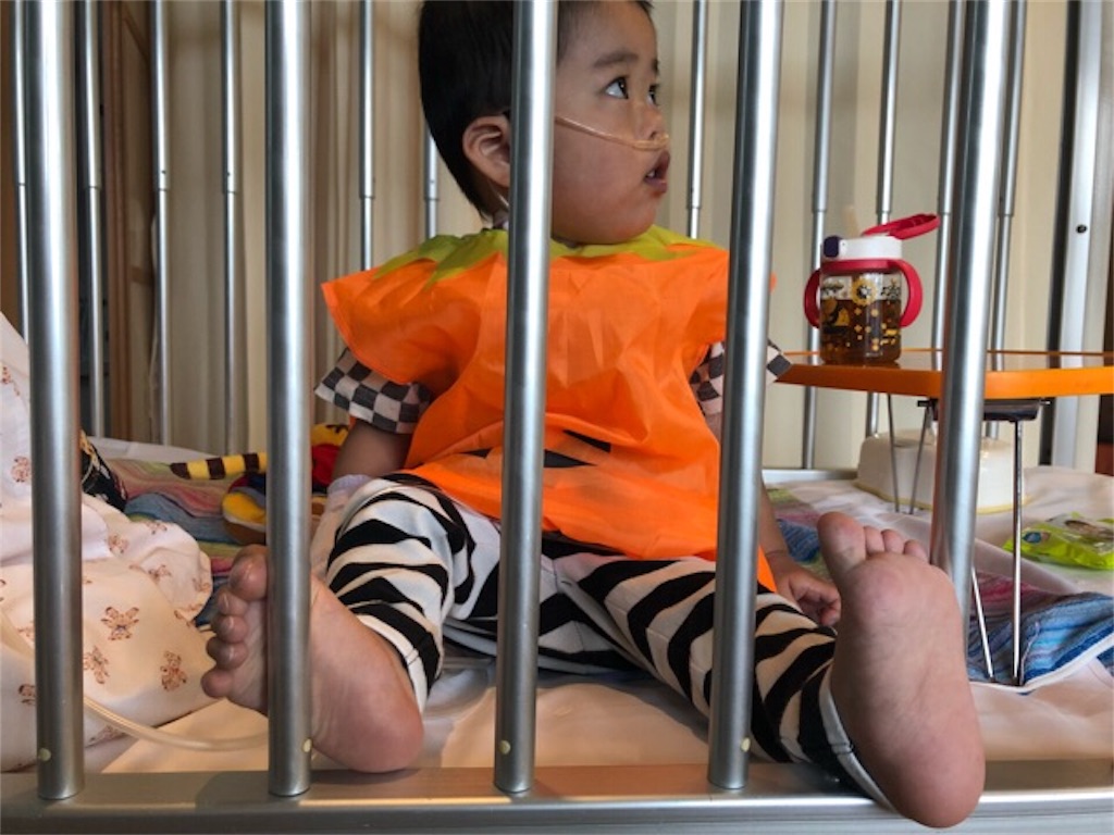 f:id:CALMIN:20181103235201j:plain