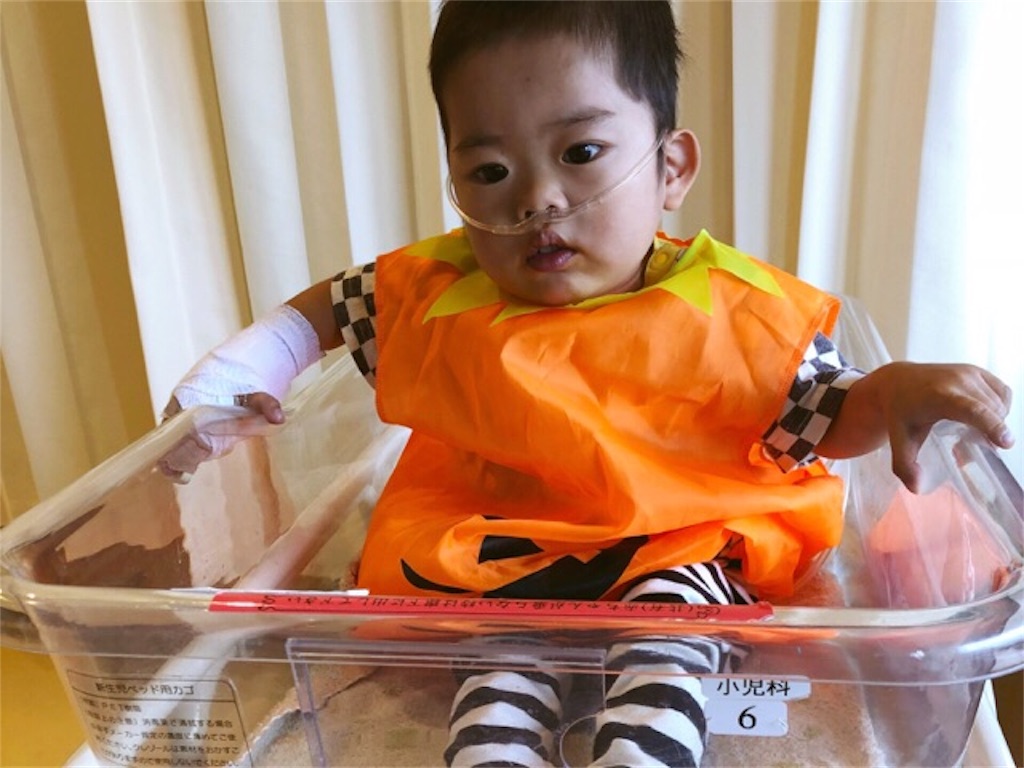 f:id:CALMIN:20181103235209j:plain