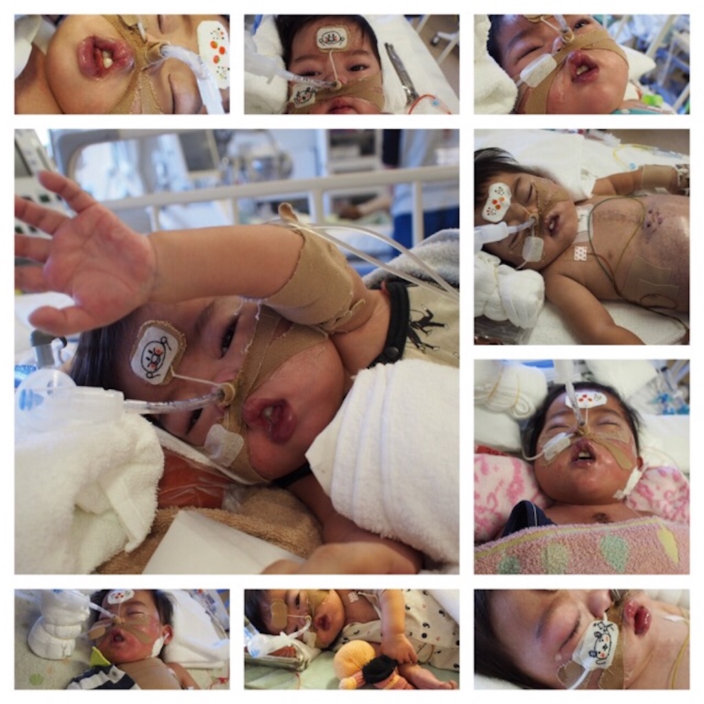 f:id:CALMIN:20181219235153j:image