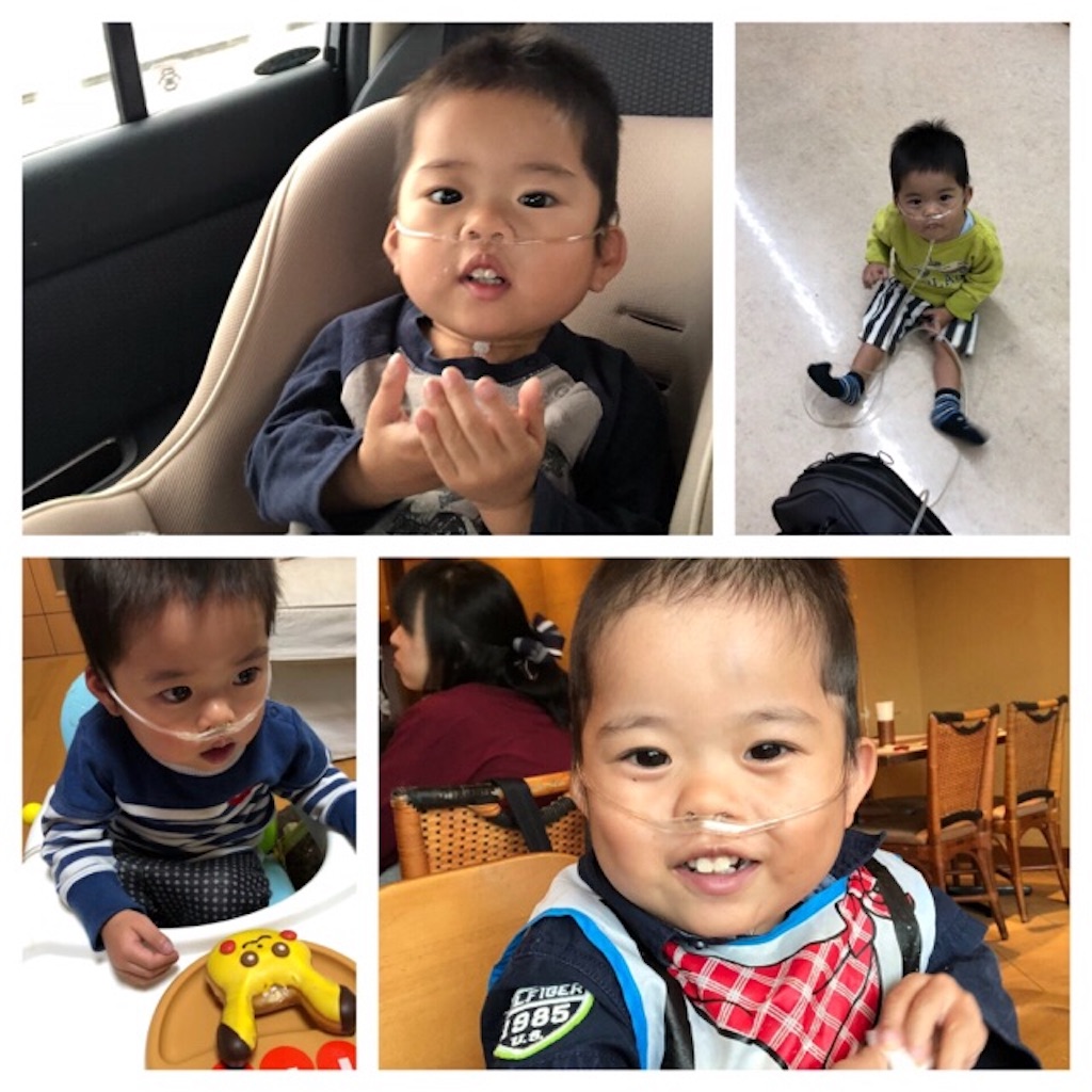 f:id:CALMIN:20181219235222j:image