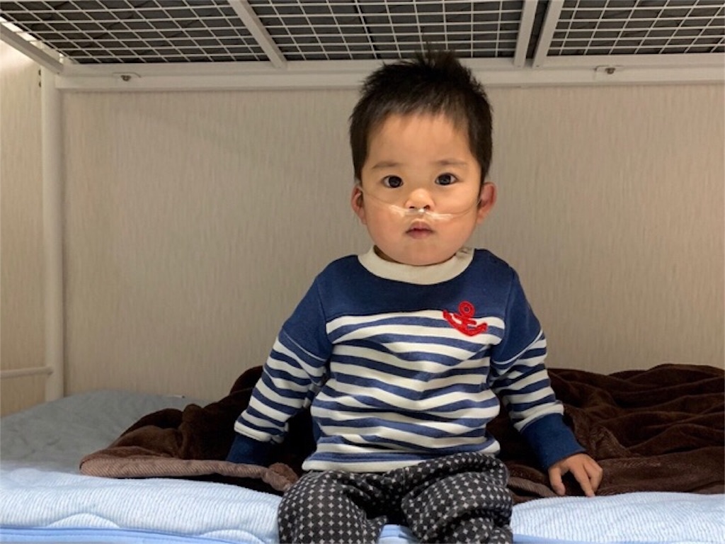 f:id:CALMIN:20181222233326j:image