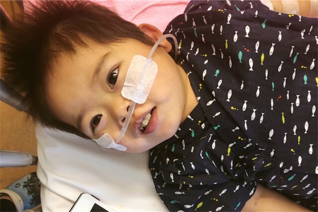 f:id:CALMIN:20181229131100j:image