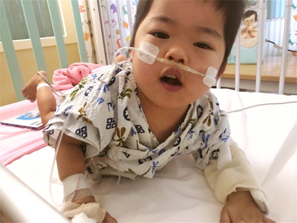 f:id:CALMIN:20190110200553j:image