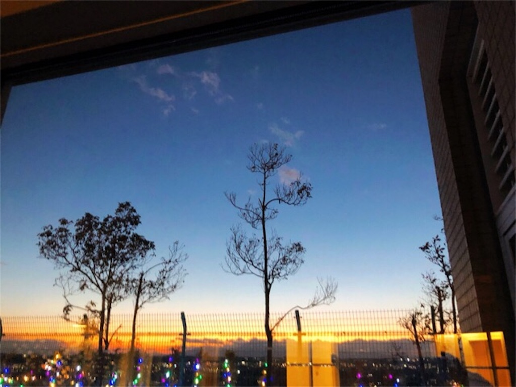 f:id:CALMIN:20190129091330j:image