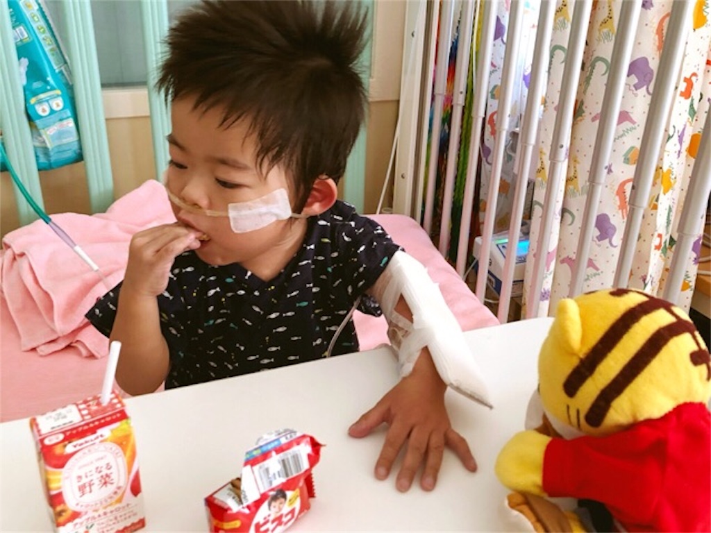 f:id:CALMIN:20190129091405j:image