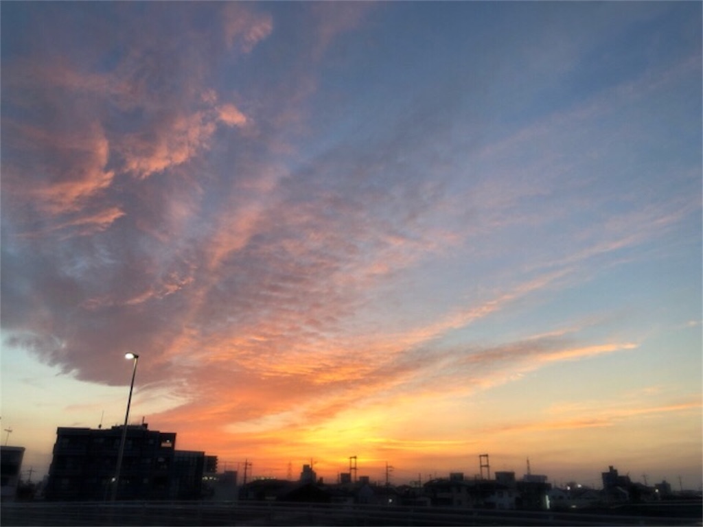 f:id:CALMIN:20190406115524j:image