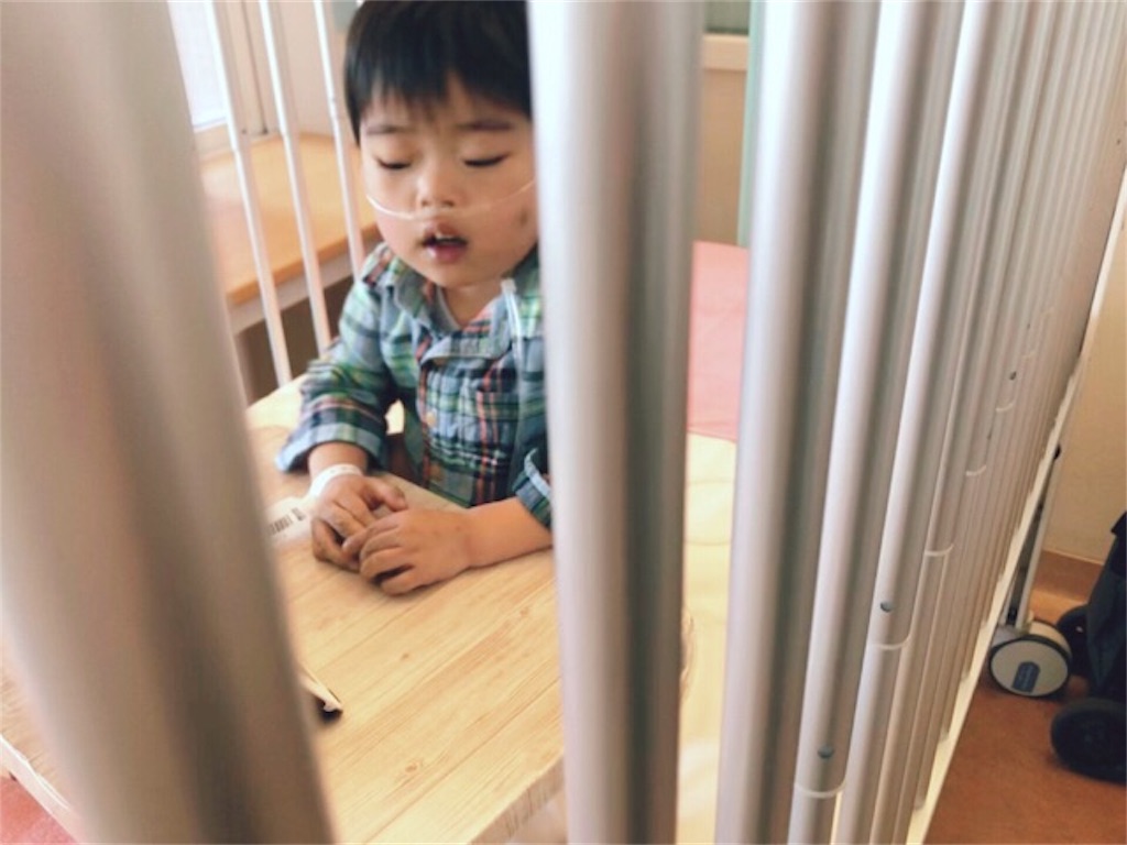 f:id:CALMIN:20190418221536j:image