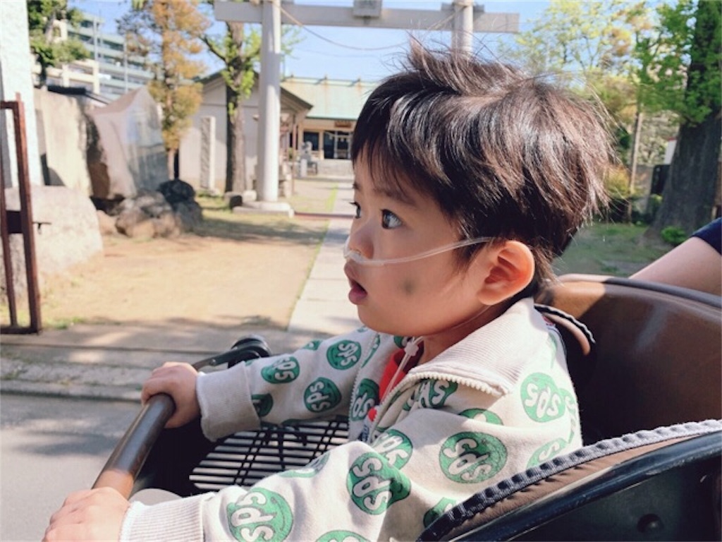 f:id:CALMIN:20190420232423j:image