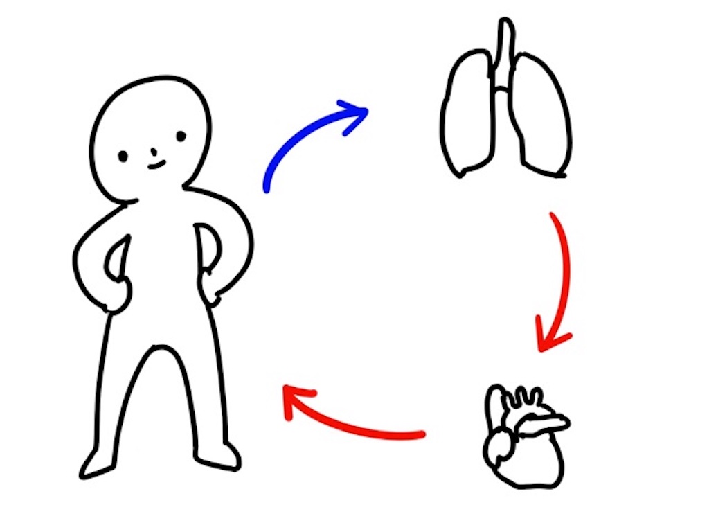 f:id:CALMIN:20190421230432j:plain:w400 f:id:CALMIN:20190421230432j:plain:w400