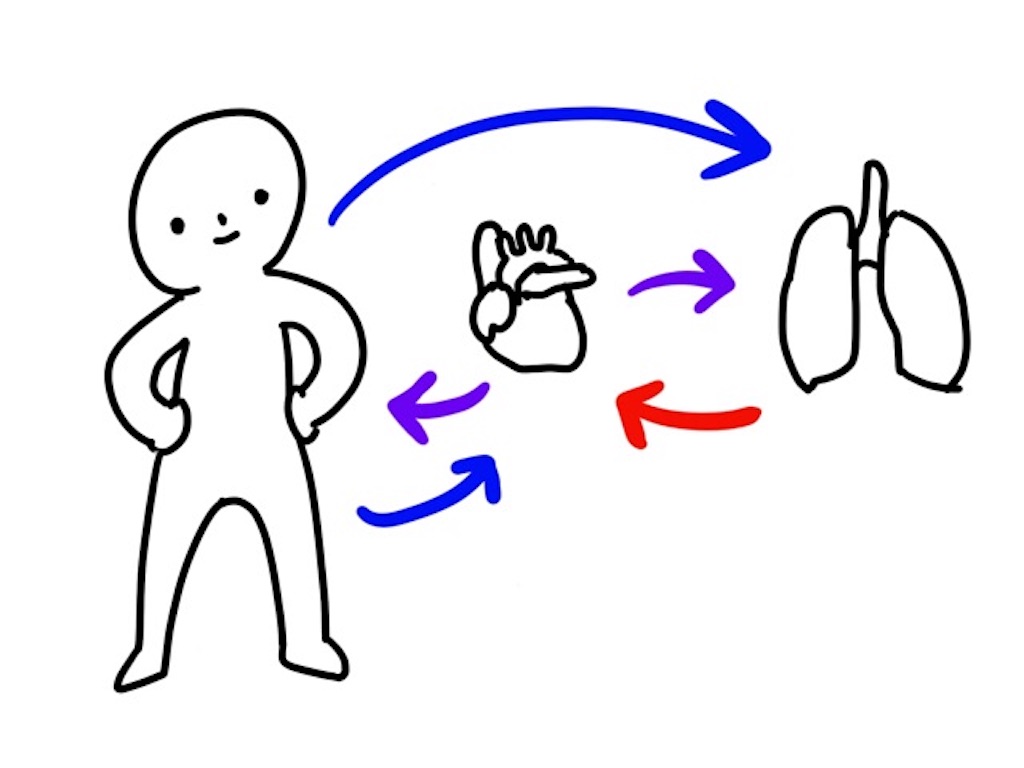 f:id:CALMIN:20190421230437j:plain:w400 f:id:CALMIN:20190421230437j:plain:w400