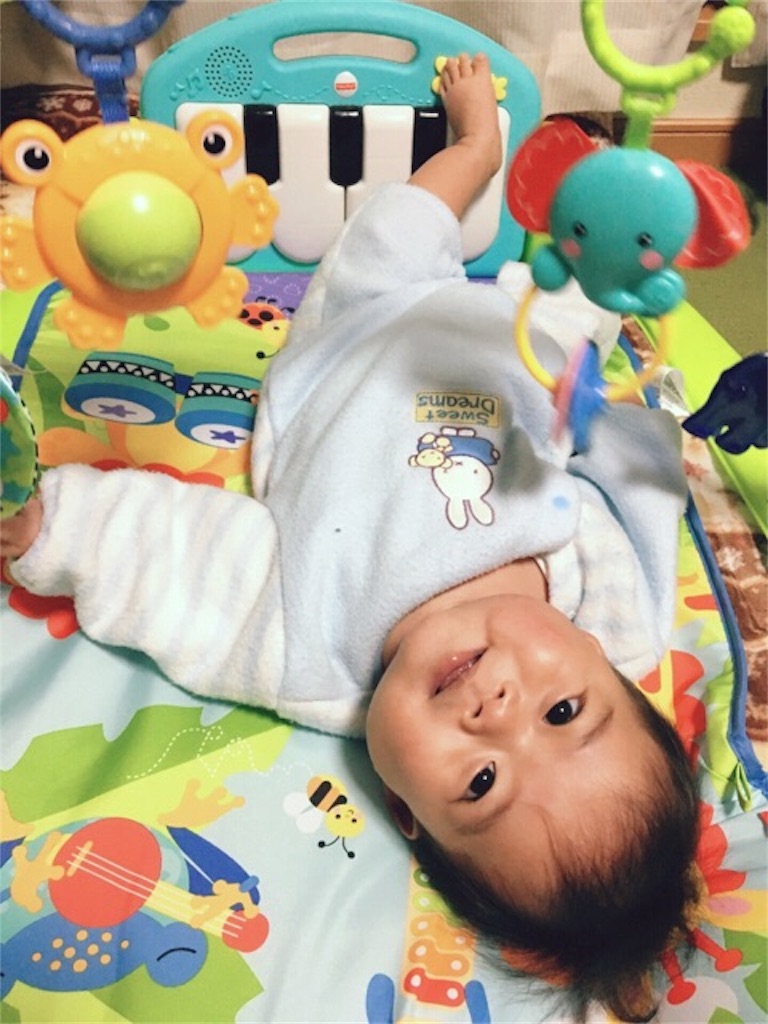 f:id:CALMIN:20190426084717j:image