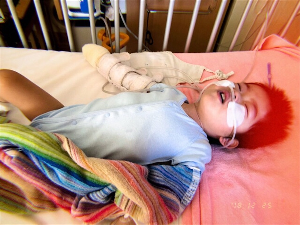 f:id:CALMIN:20190426090419j:image