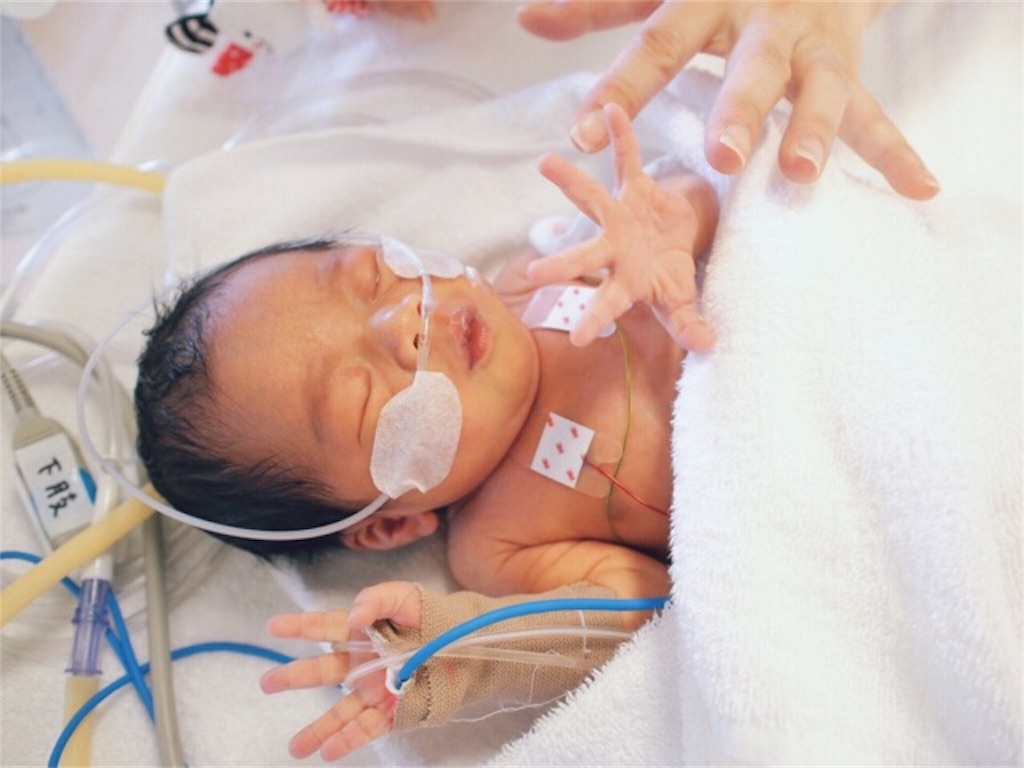 f:id:CALMIN:20190605232037j:image