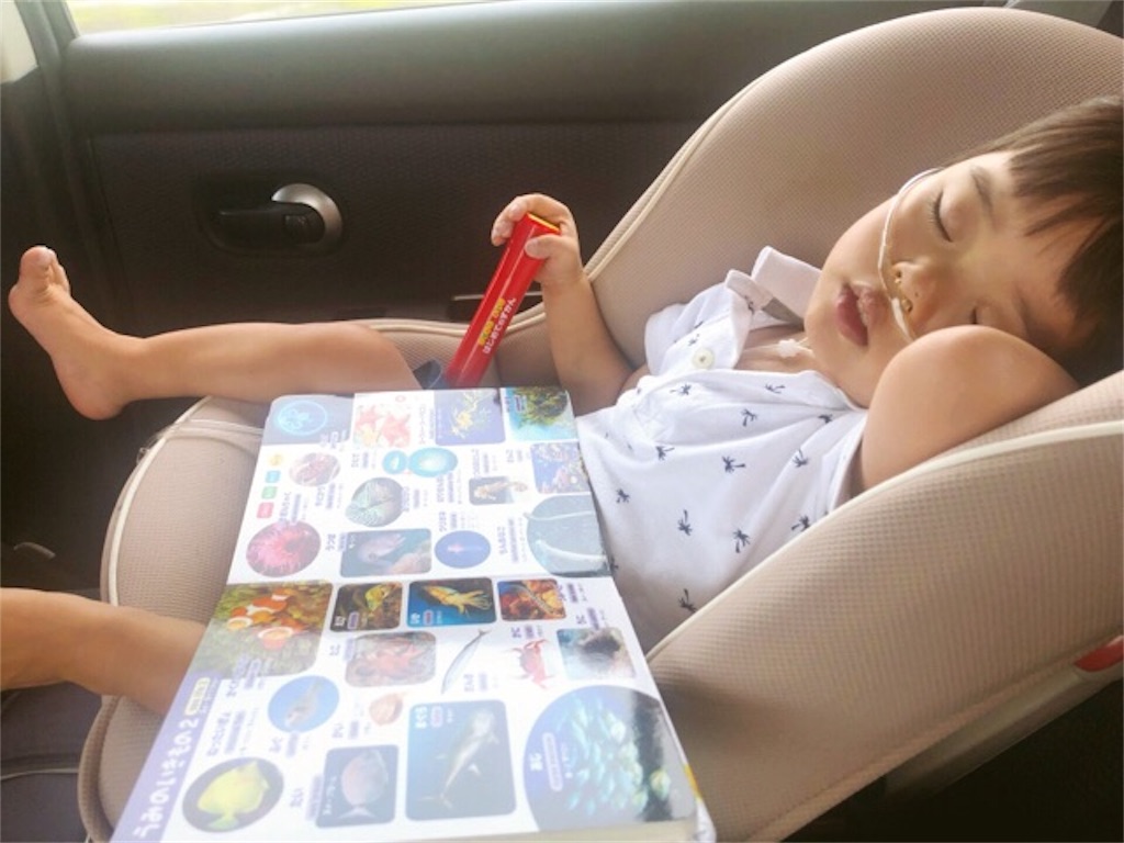 f:id:CALMIN:20190624222454j:image