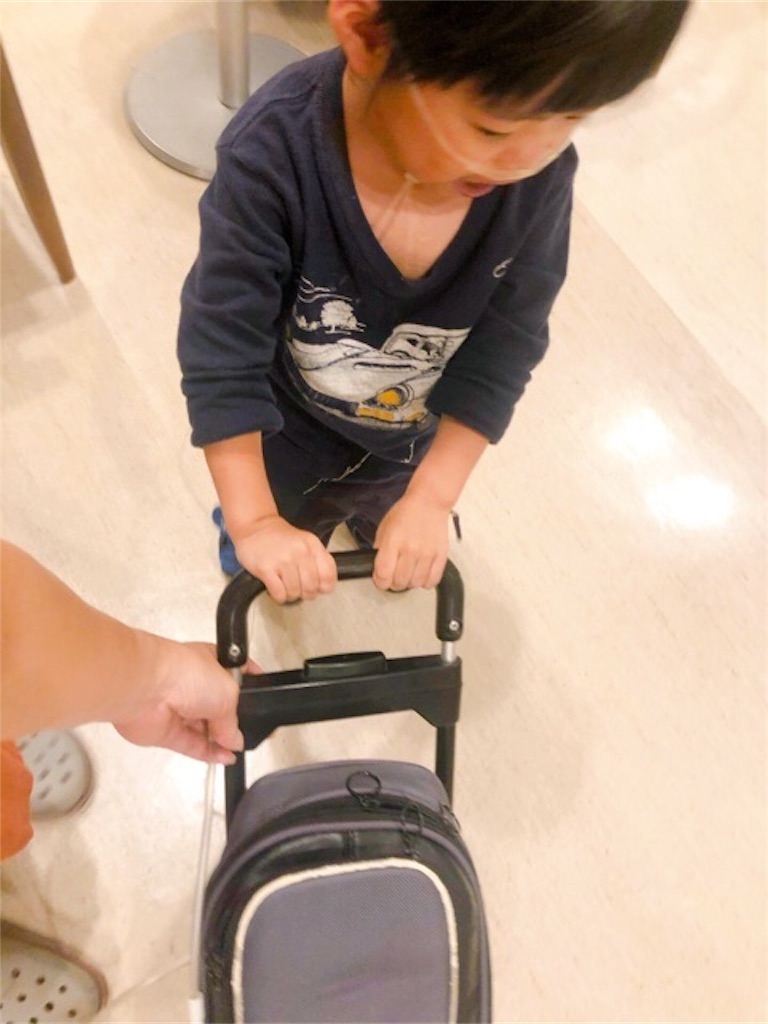 f:id:CALMIN:20191020105226j:image