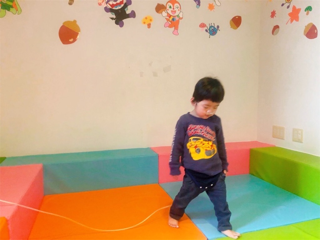 f:id:CALMIN:20191125111913j:image