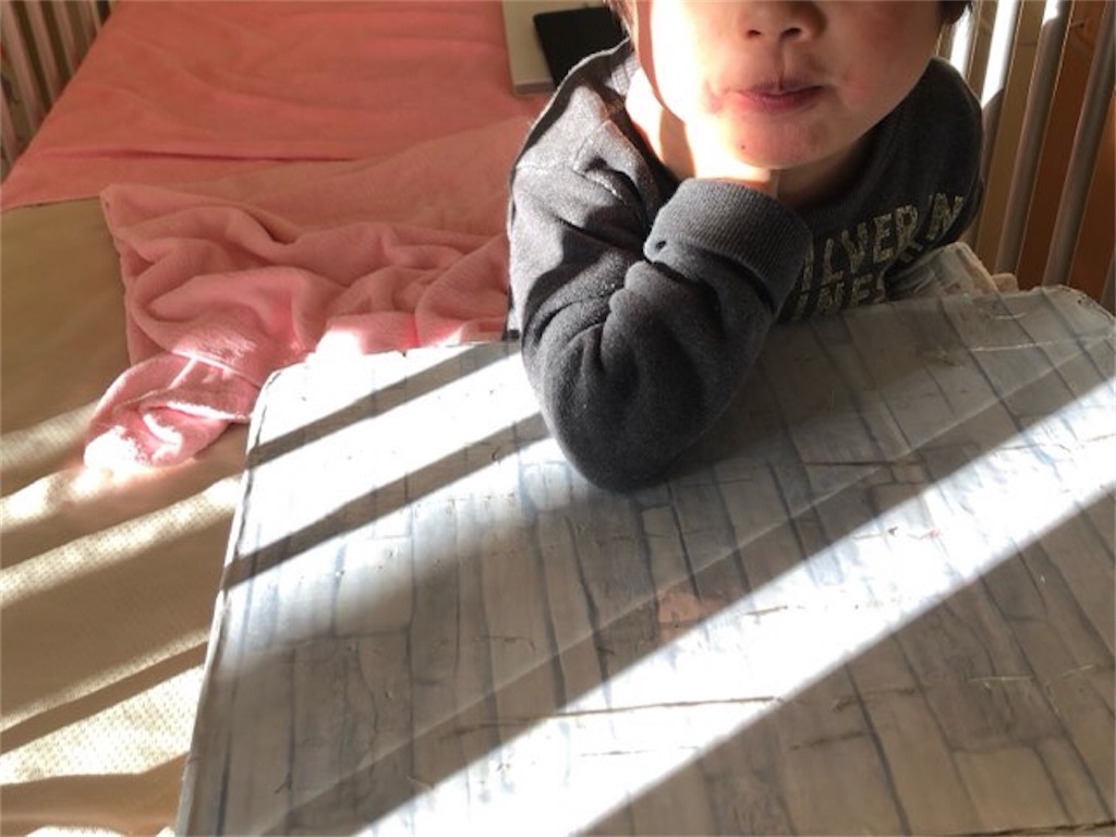 f:id:CALMIN:20210114002452j:plain