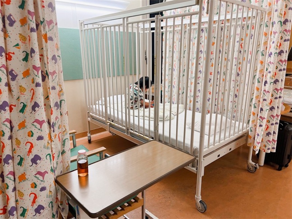 f:id:CALMIN:20220112105628j:plain