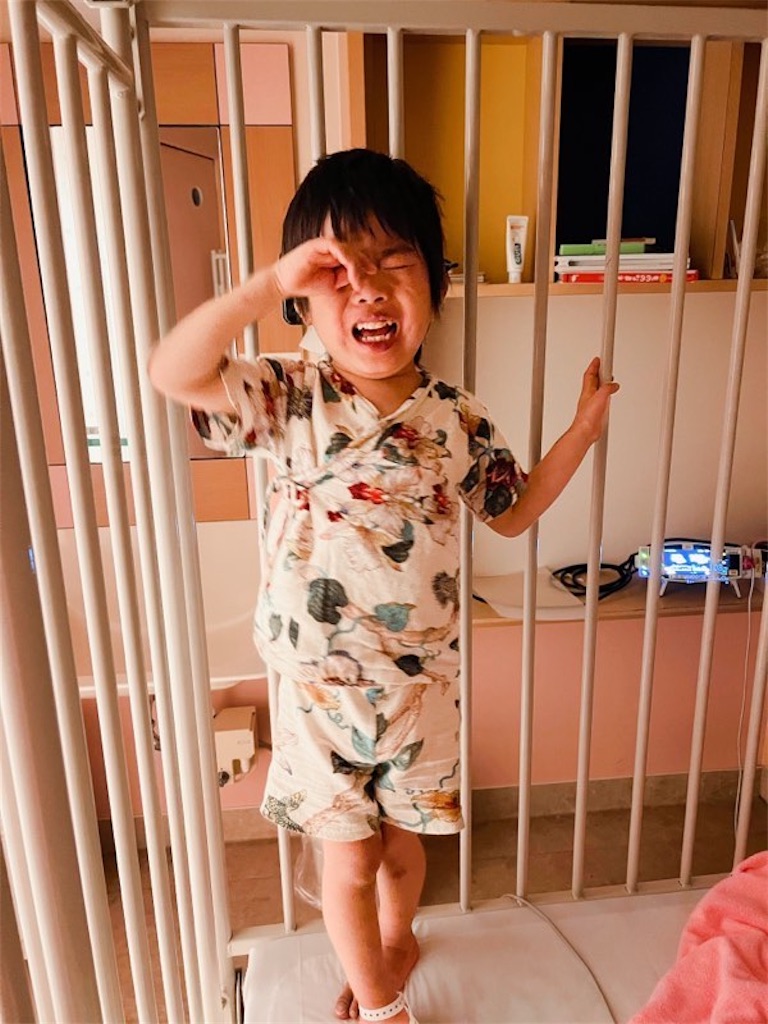 f:id:CALMIN:20220113132906j:plain