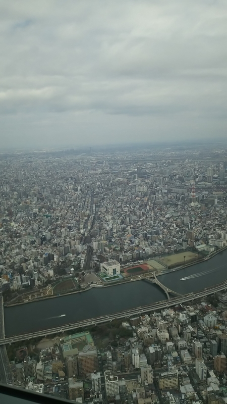 イメージ 5