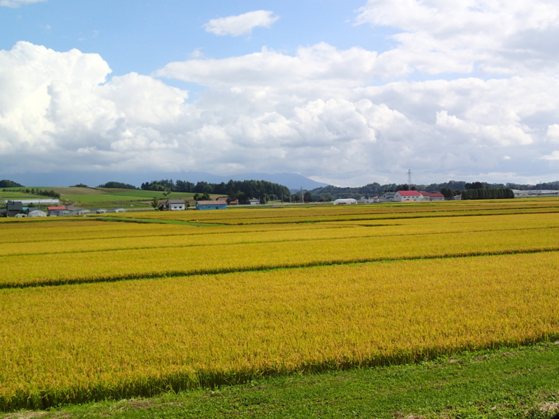 f:id:CBX4121:20130908140621j:image:w360