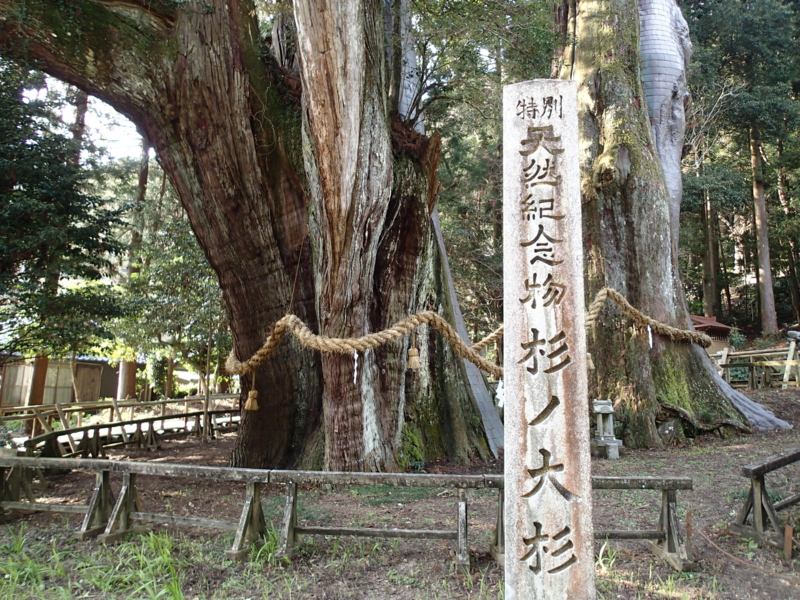 f:id:CBX4121:20140103140313j:image:w360 f:id:CBX4121:20140103140313j:image:w360