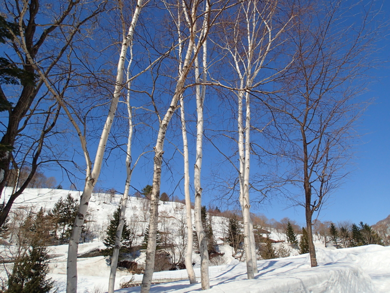 f:id:CBX4121:20140508220645j:image:w360