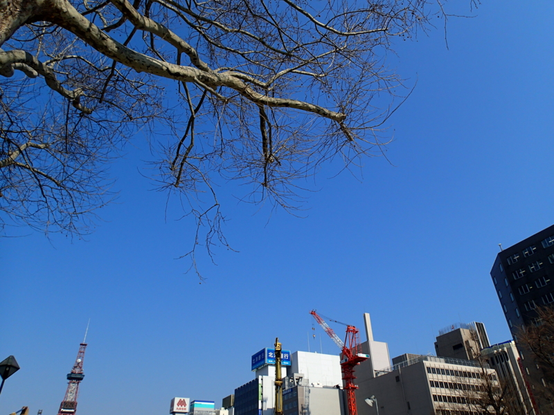 f:id:CBX4121:20140518205840j:image:w640 f:id:CBX4121:20140518205840j:image:w640