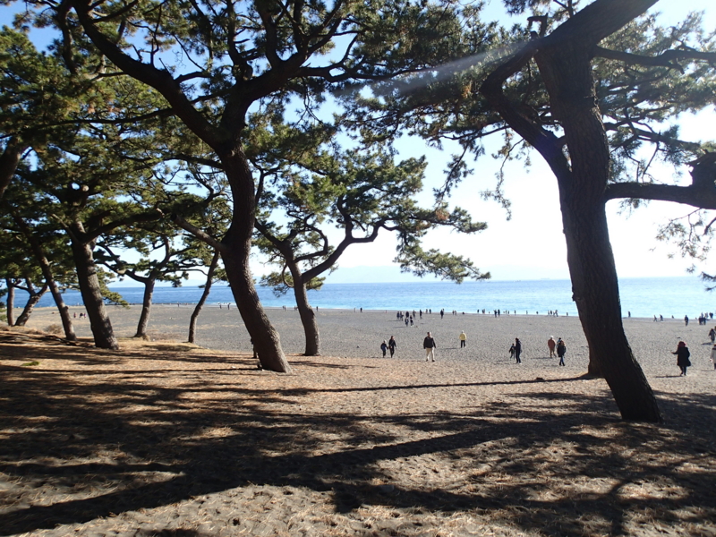f:id:CBX4121:20150104161820j:image f:id:CBX4121:20150104161820j:image