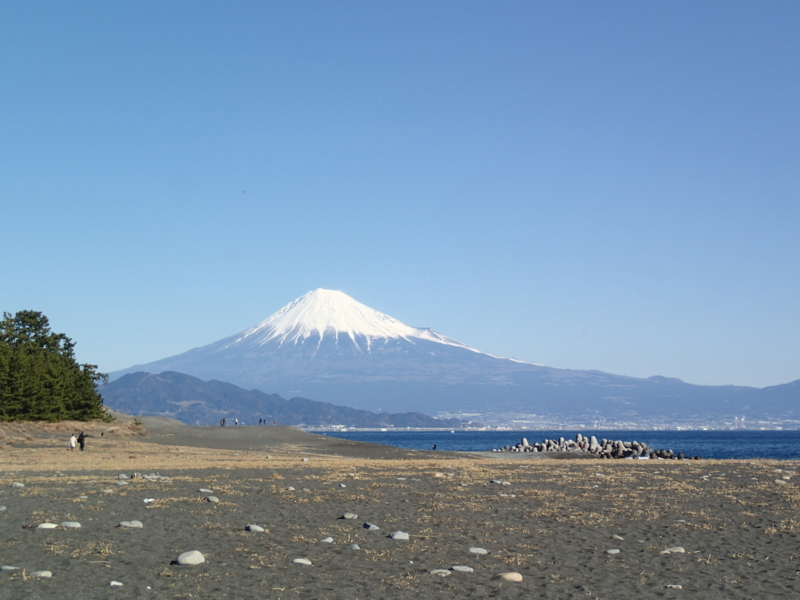 f:id:CBX4121:20150104161821j:image f:id:CBX4121:20150104161821j:image